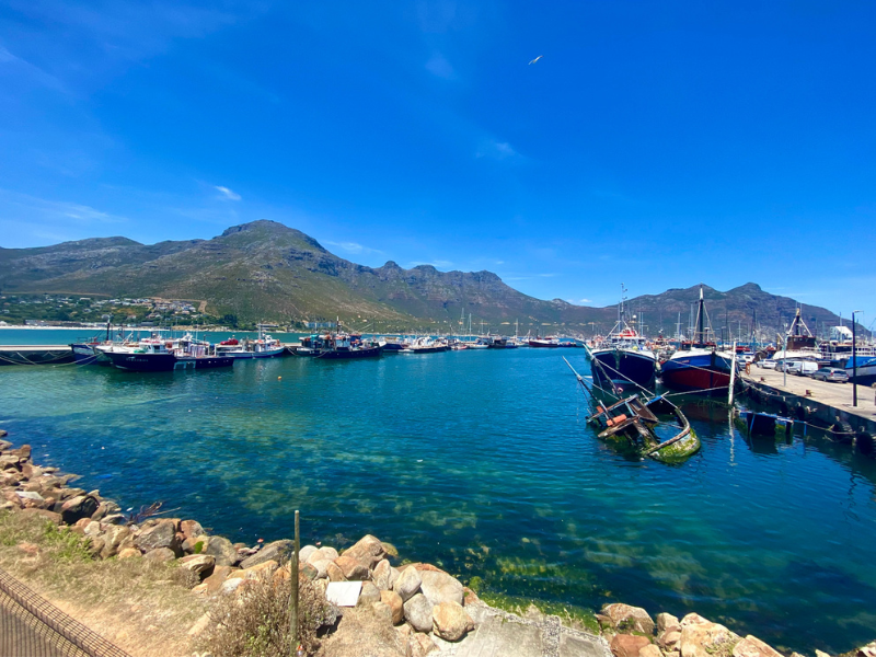 houtbay harbour