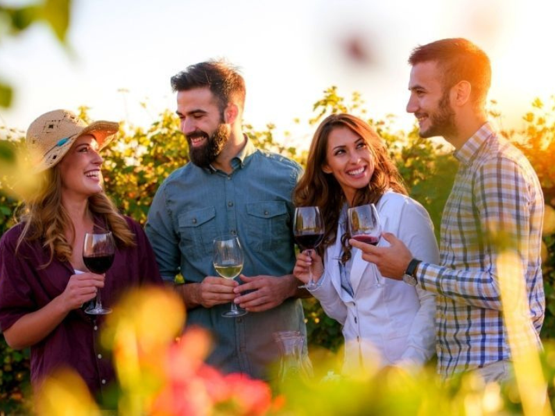 wine tour 2