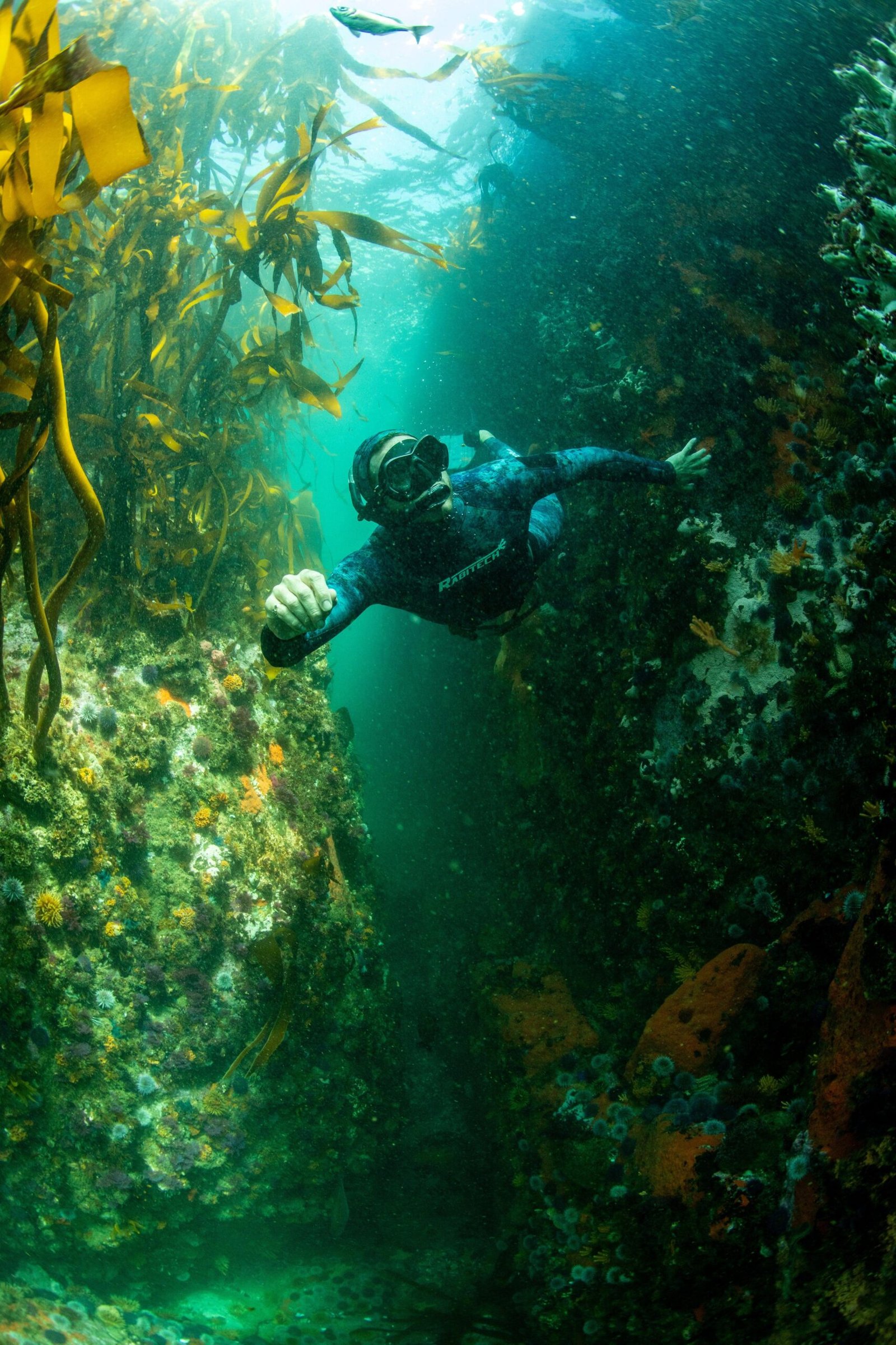diver