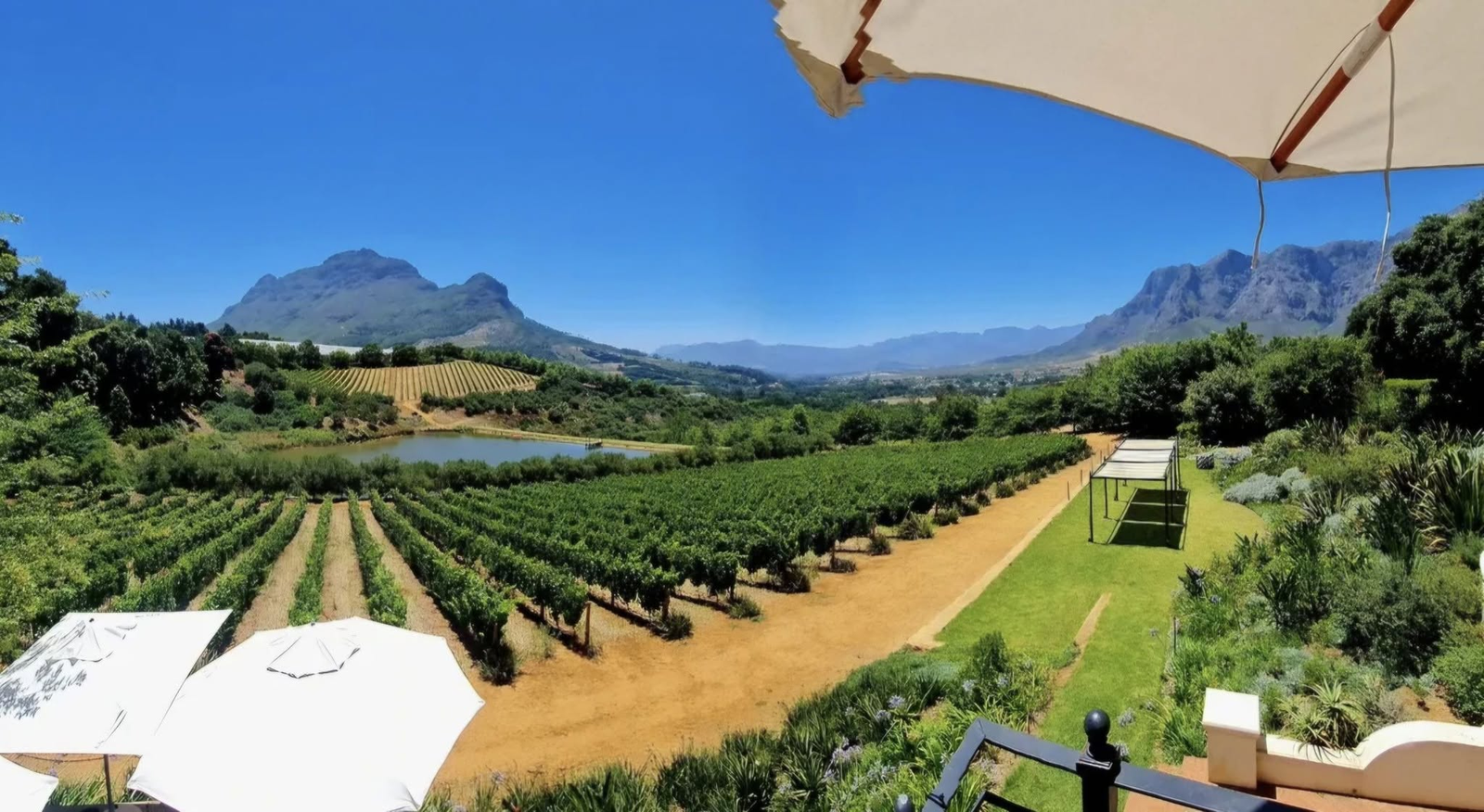 cape winelands – scenic vineyards and mountain views