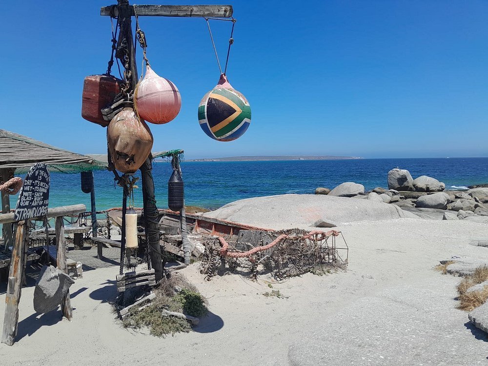 die strandloper langebaan west coast